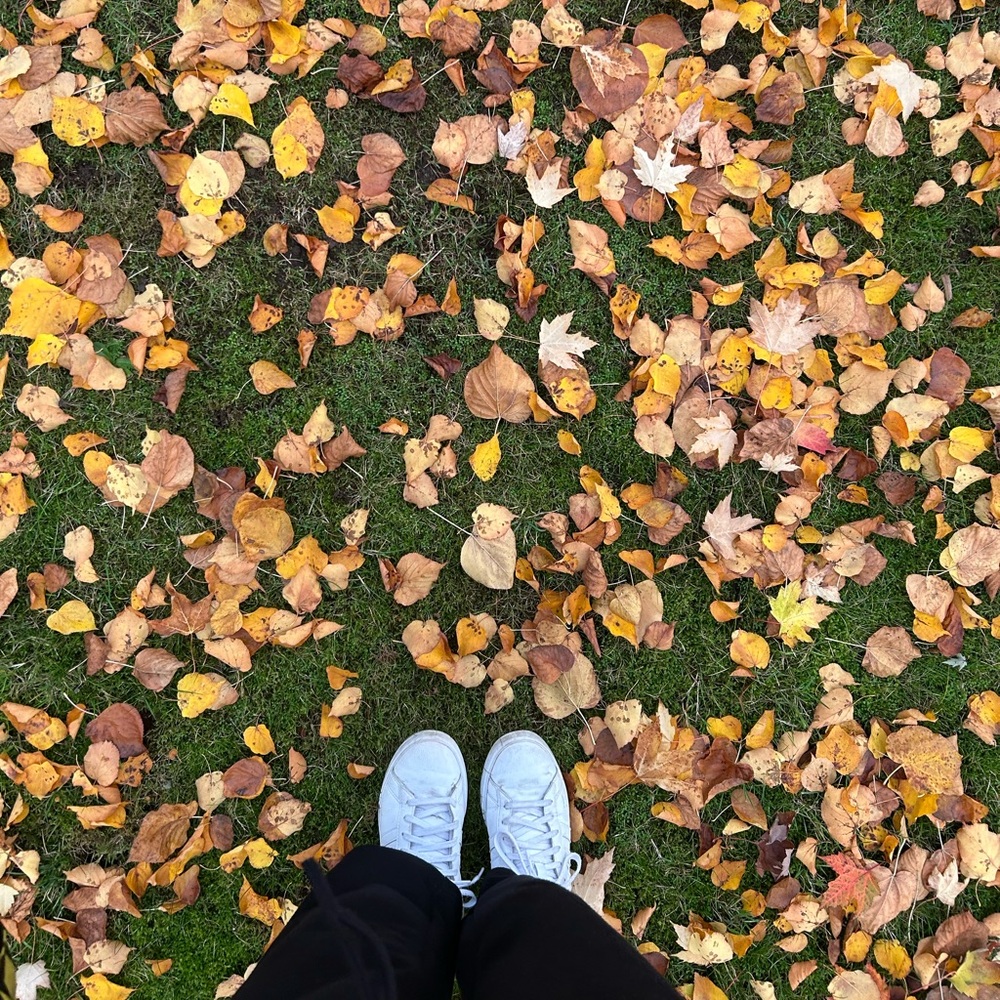 Meet your Posher, Sharon